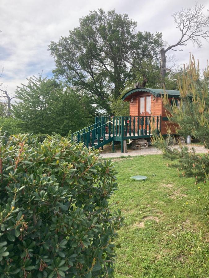 Domaine La Carriere Βίλα Toulon-sur-Allier Εξωτερικό φωτογραφία